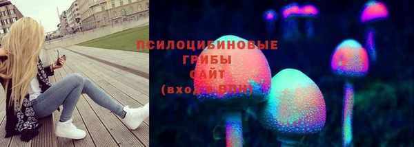 шишки Армянск