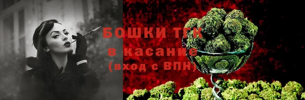 шишки Армянск