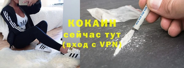 крисы Баксан