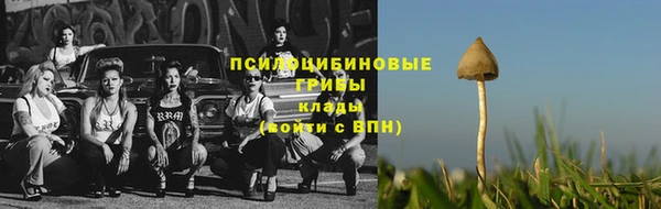 шишки Армянск