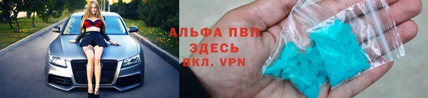 стаф Арсеньев