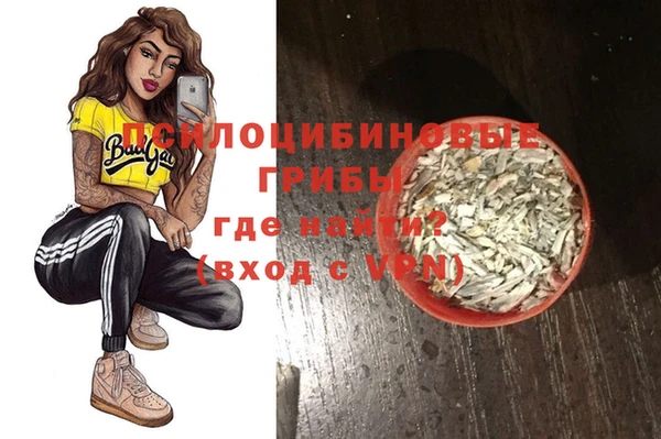 стаф Арсеньев