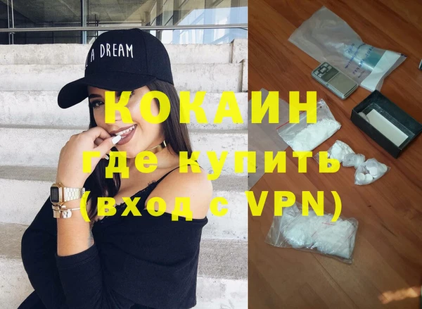 крисы Баксан