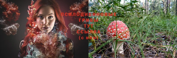шишки Армянск