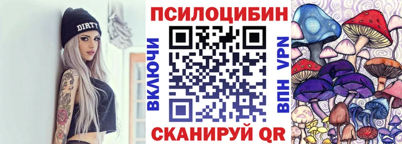 купить наркоту  Нязепетровск  Псилоцибиновые грибы Psilocybe 